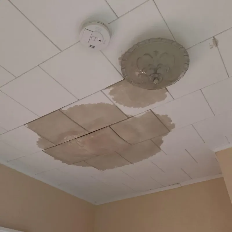 Ceiling Water Damage Repair in Waterville, NY