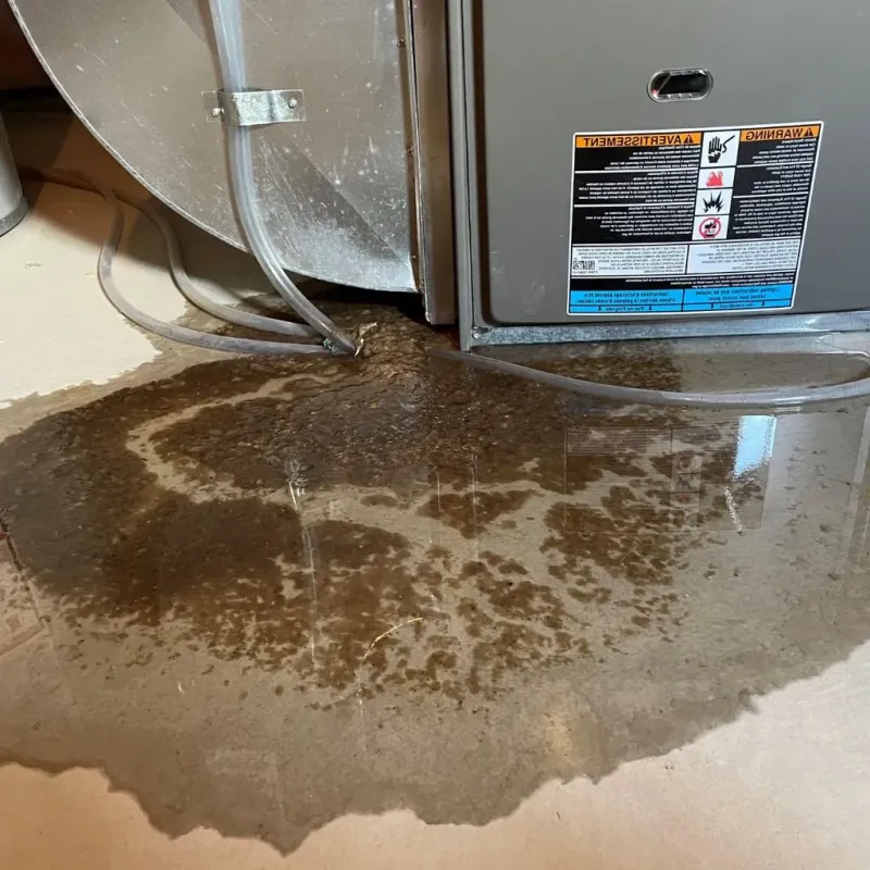 Pipe Burst and Leak Restoration in Waterville, NY